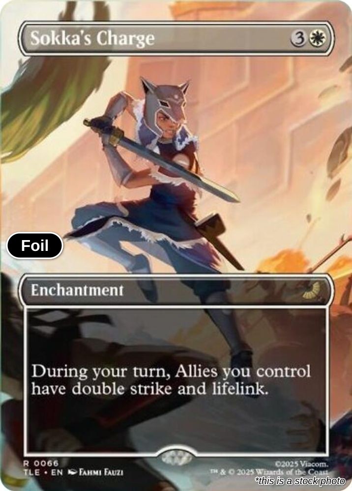 Sokka's Charge (Borderless)
