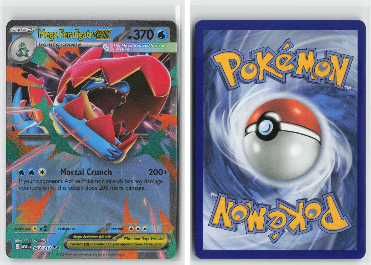 Front + Back scan