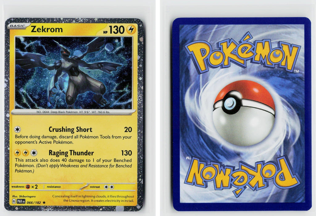 Front + Back scan