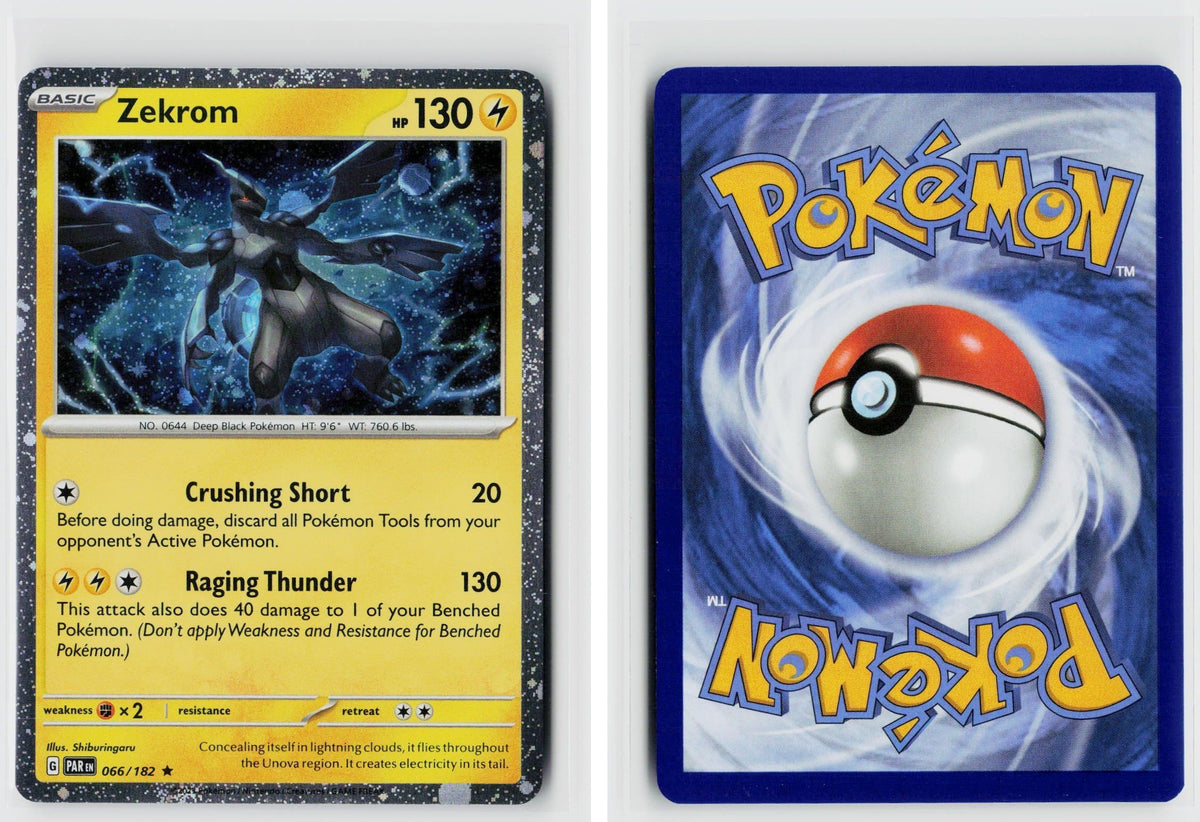 Front + Back scan