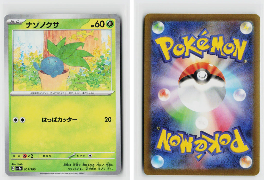 Front + Back scan