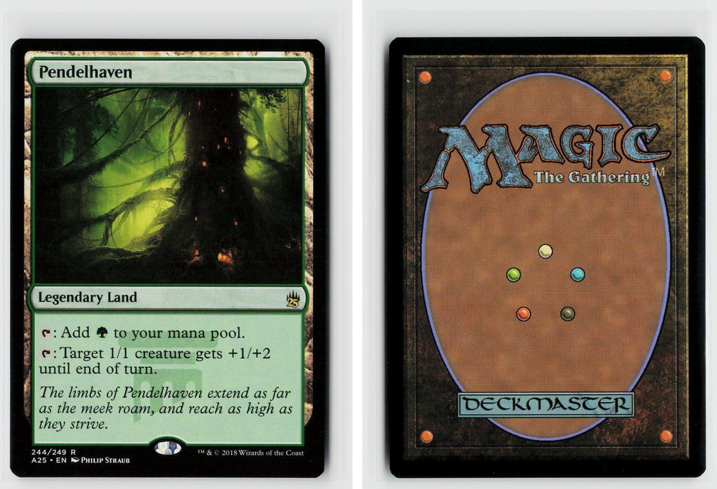Front + Back scan
