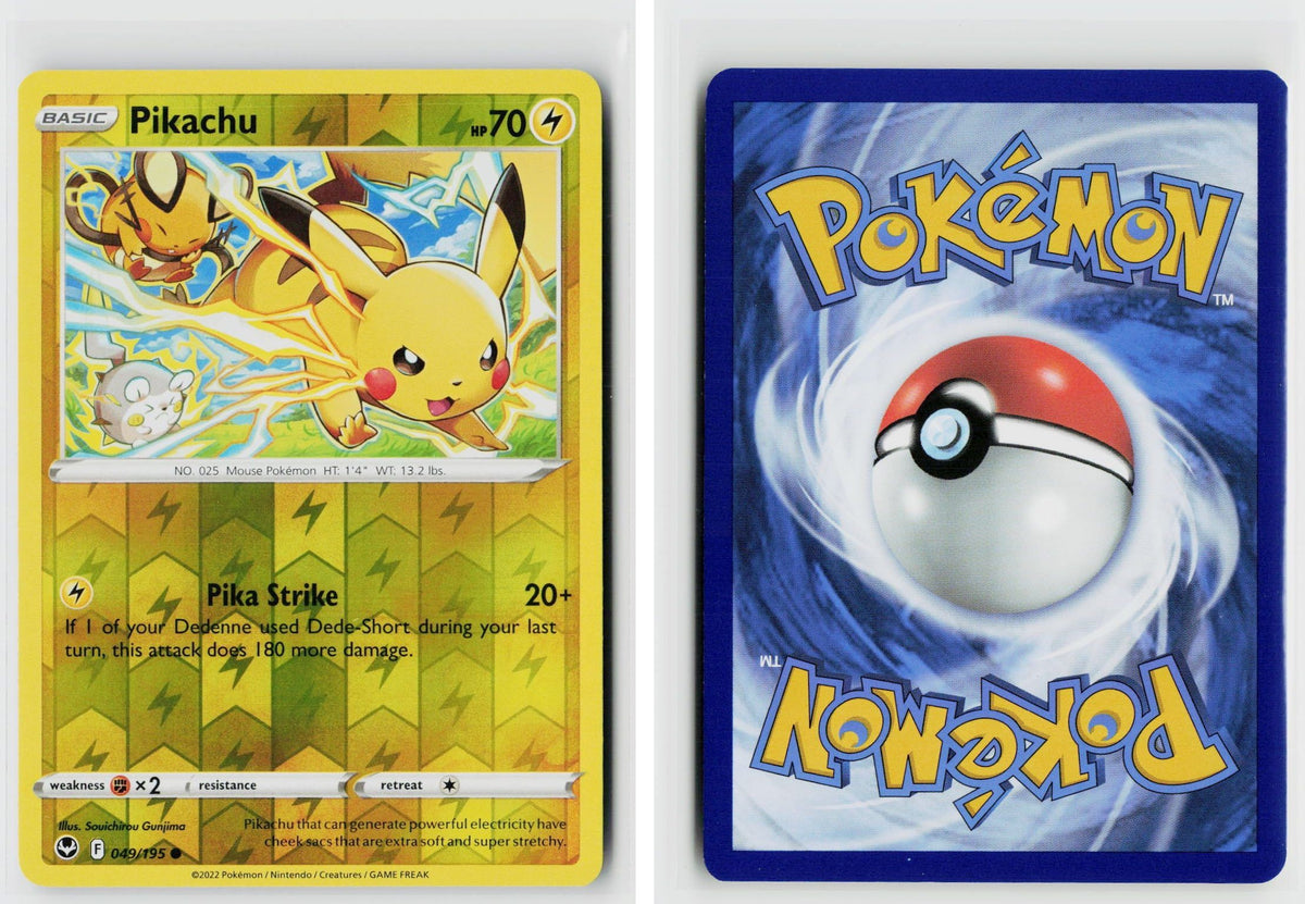 Front + Back scan