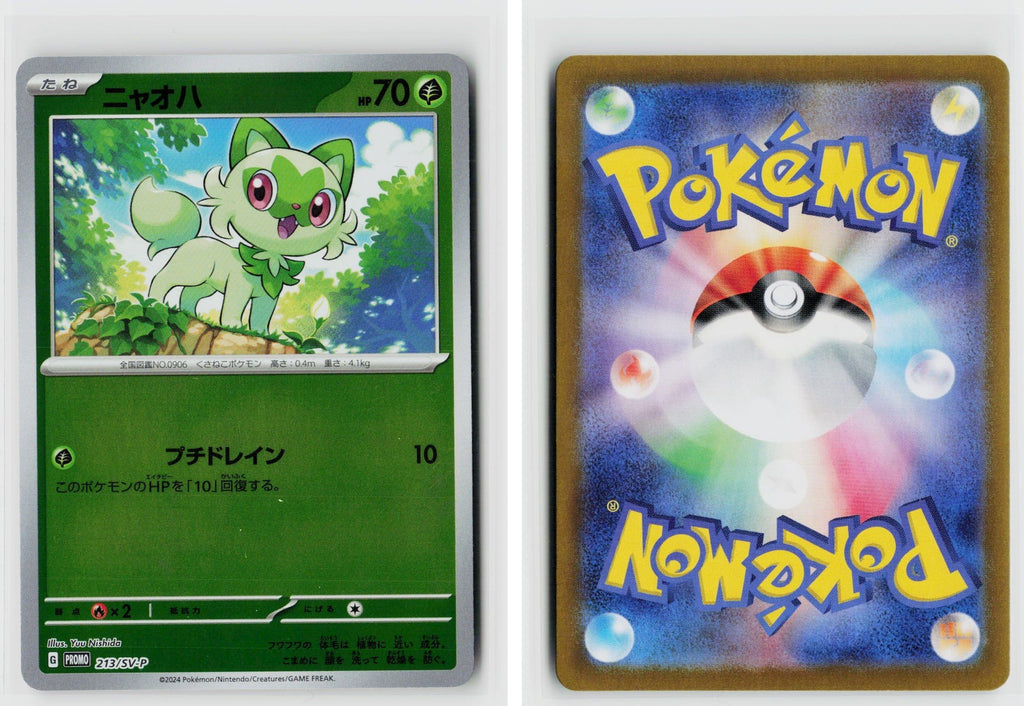 Front + Back scan