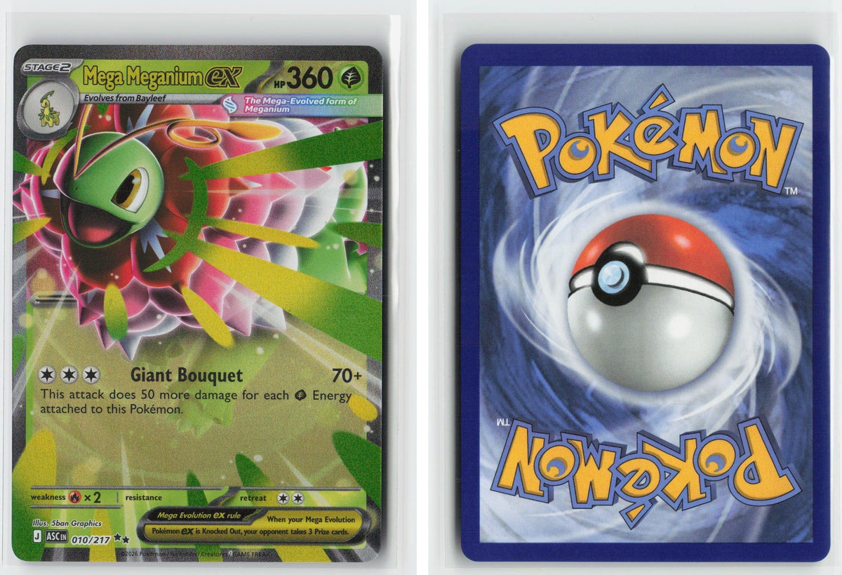 Front + Back scan