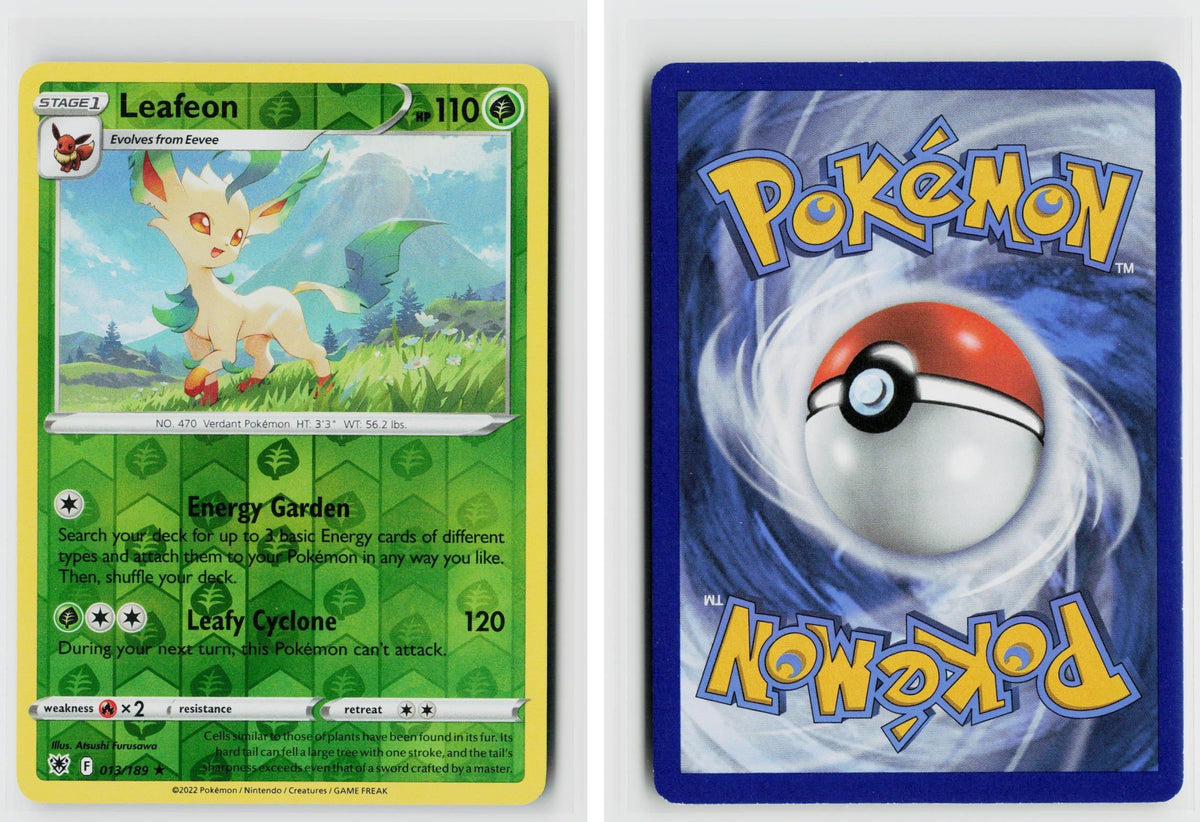 Front + Back scan