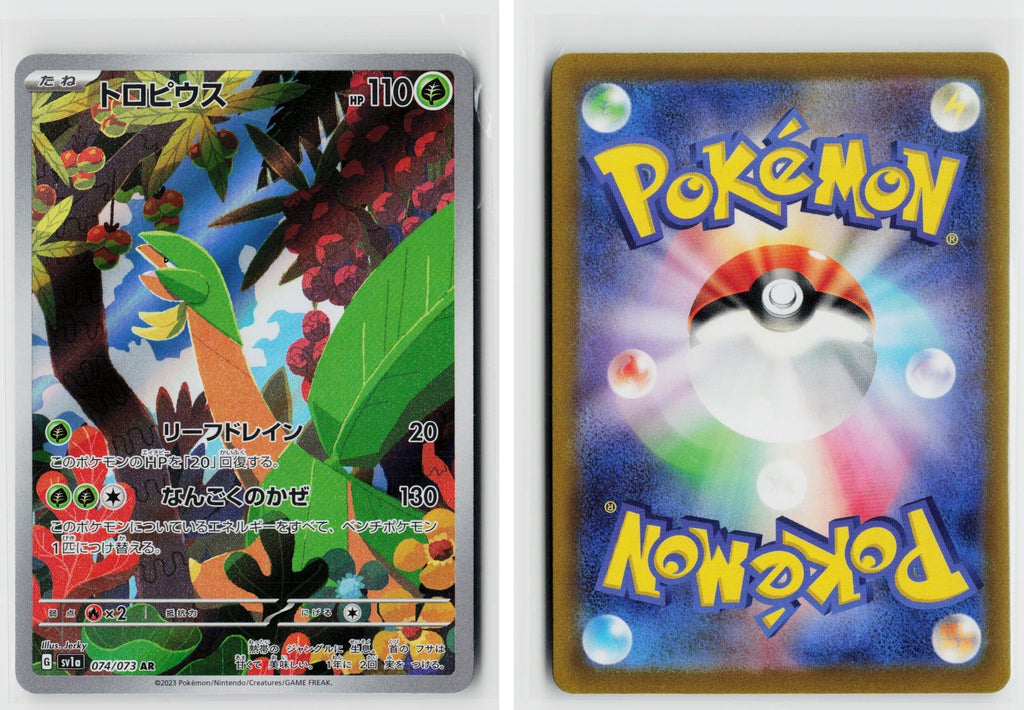 Front + Back scan