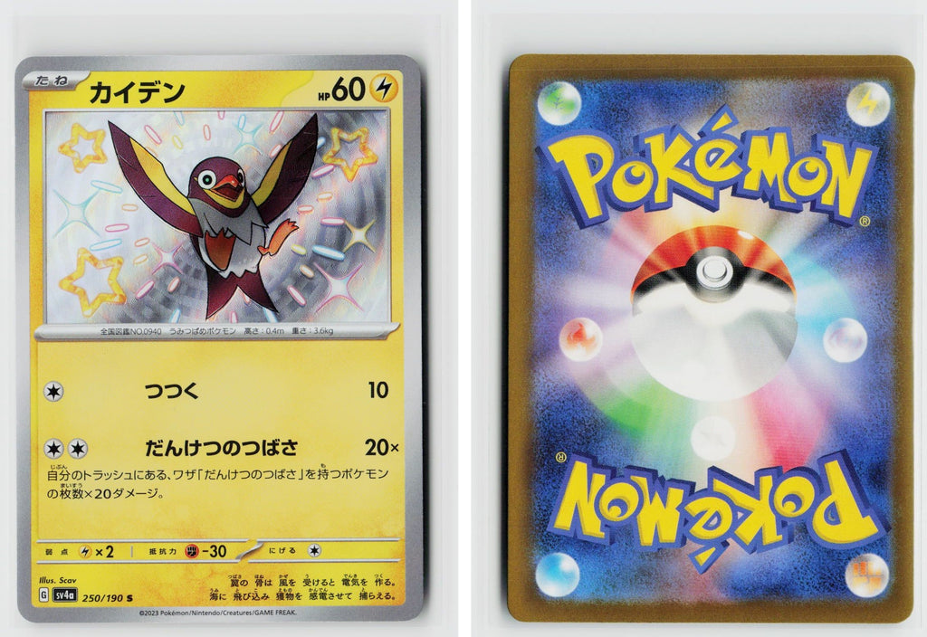 Front + Back scan