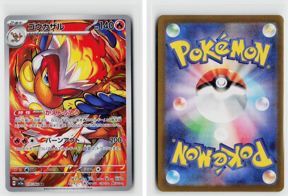 Front + Back scan