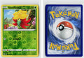 Front + Back scan | Near Mint / Ab-170 / Reverse Holofoil