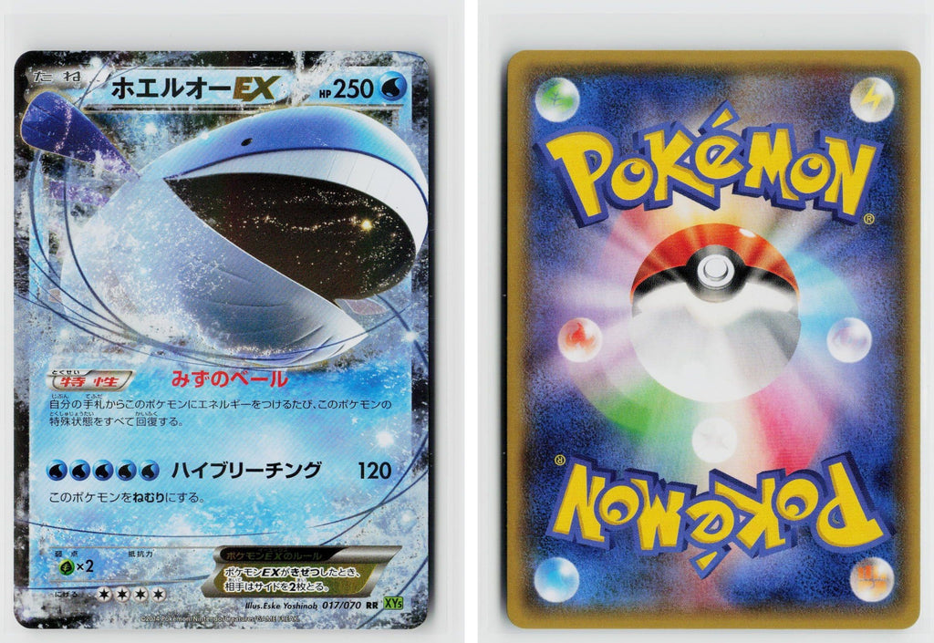 Front + Back scan