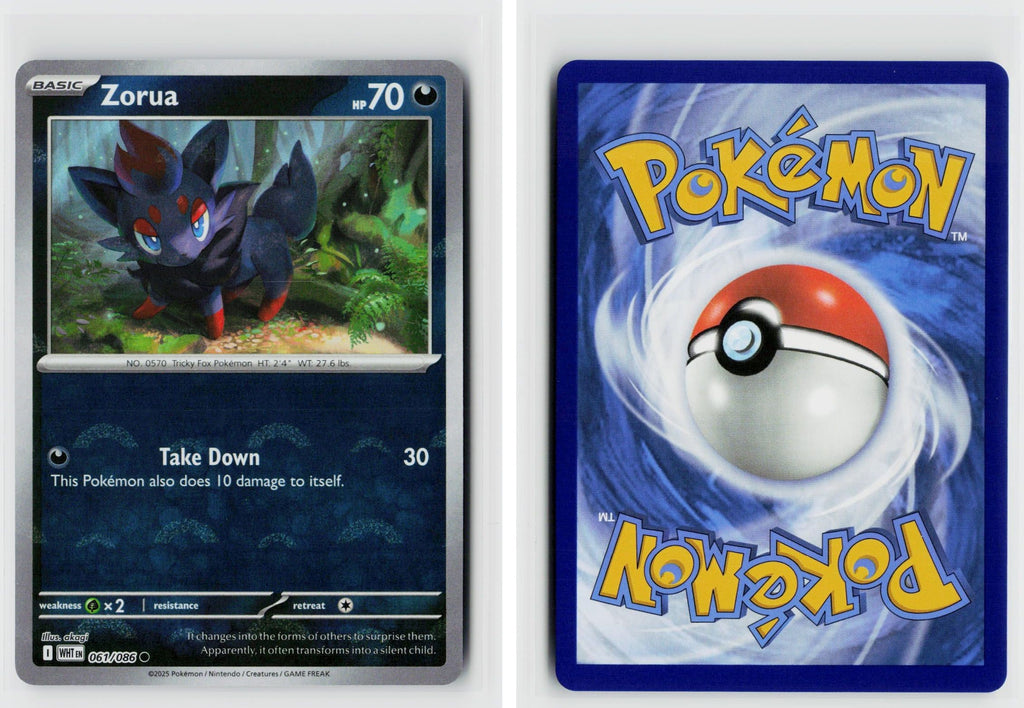 Front + Back scan