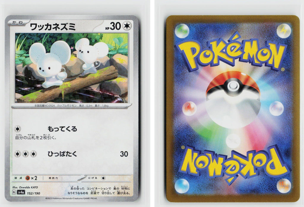 Front + Back scan
