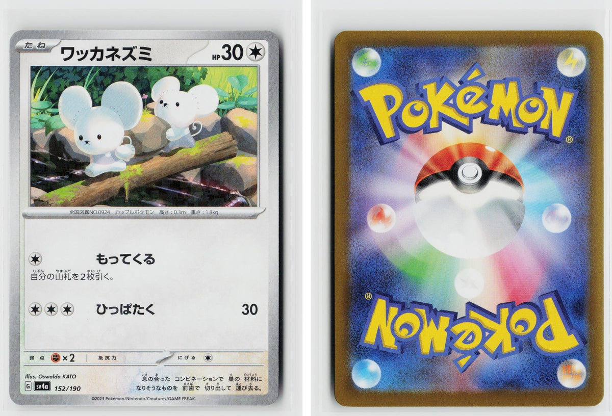 Front + Back scan