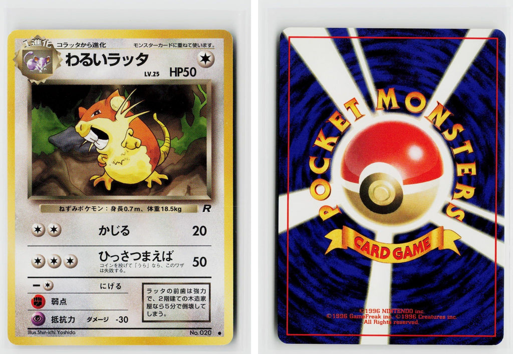 Front + Back scan