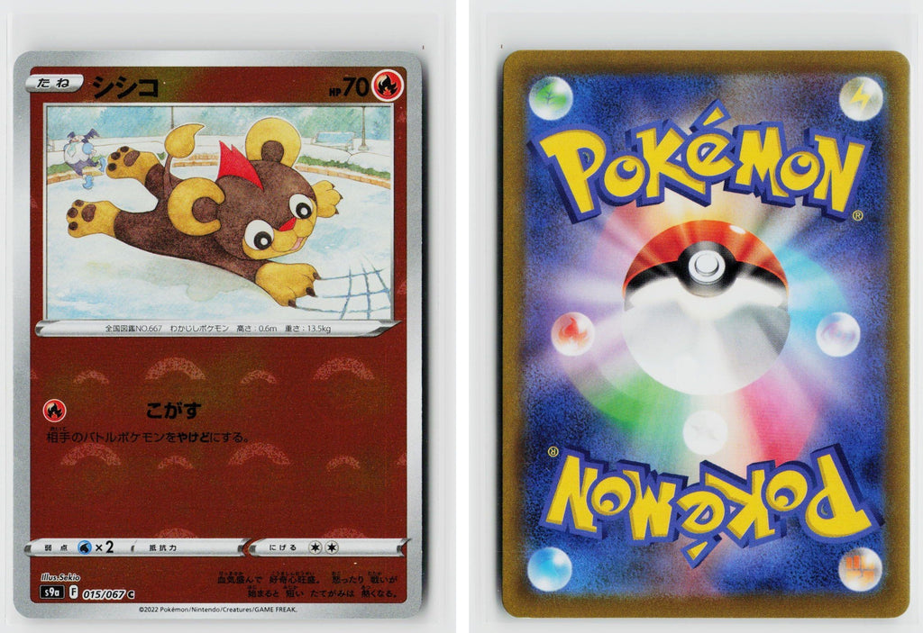 Front + Back scan