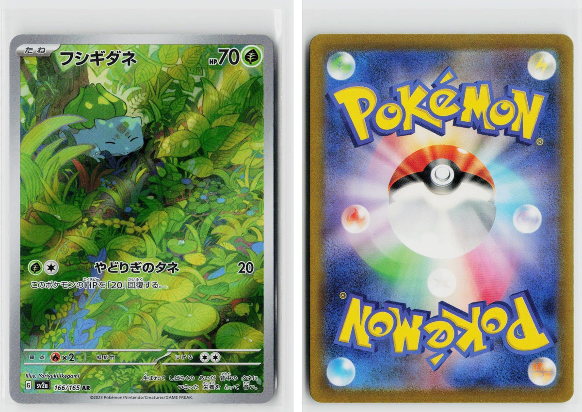 Front + Back scan