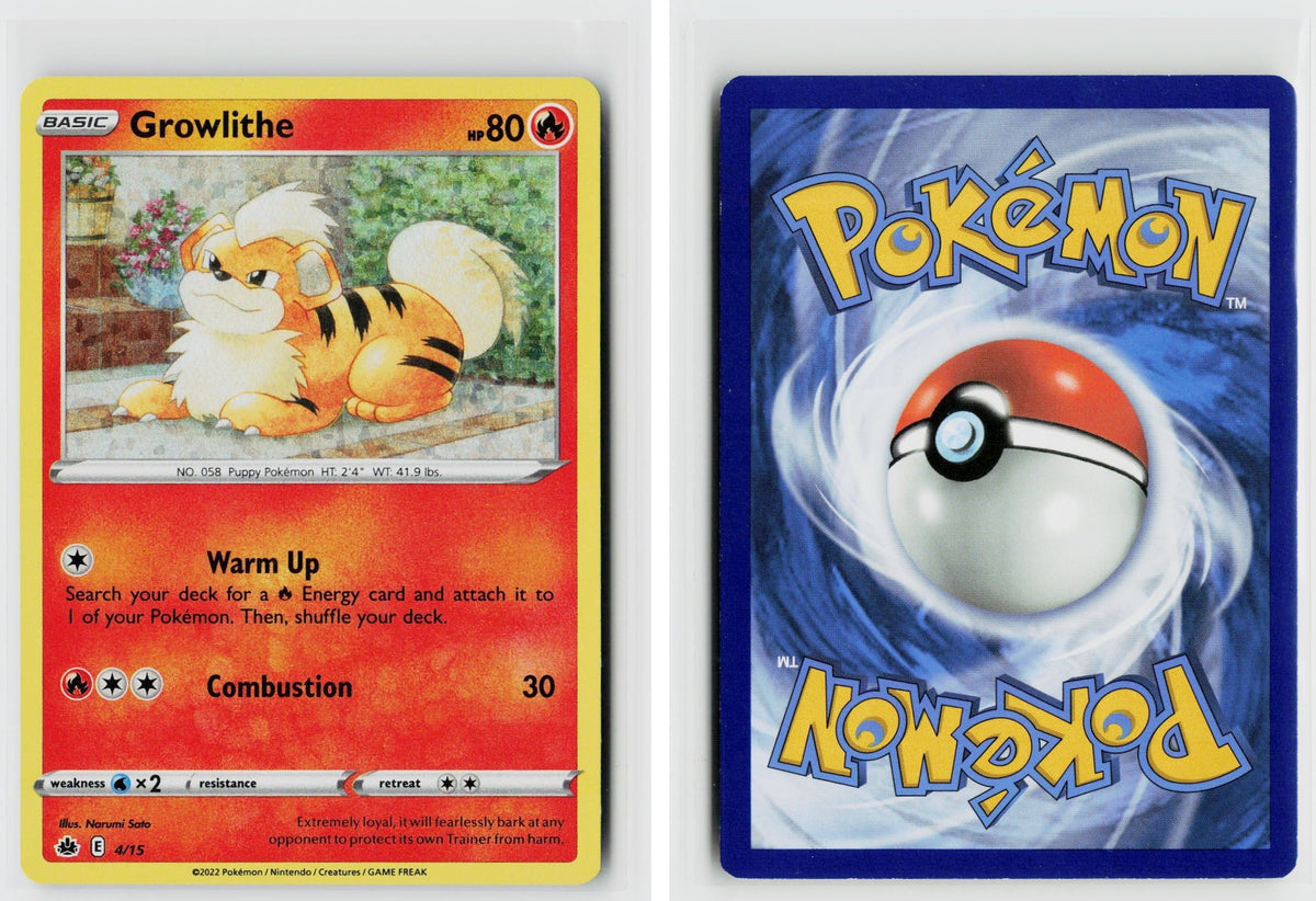 Front + Back scan