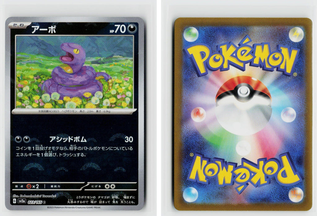 Front + Back scan