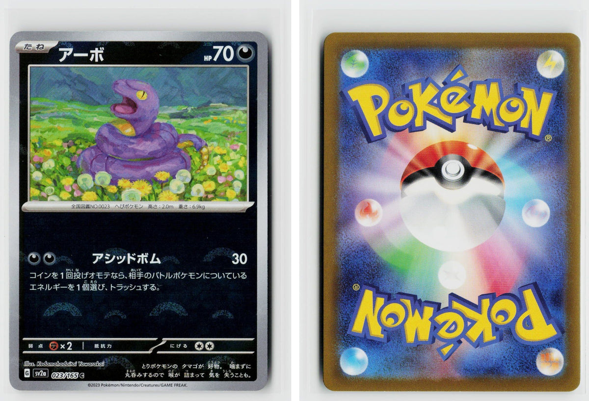 Front + Back scan