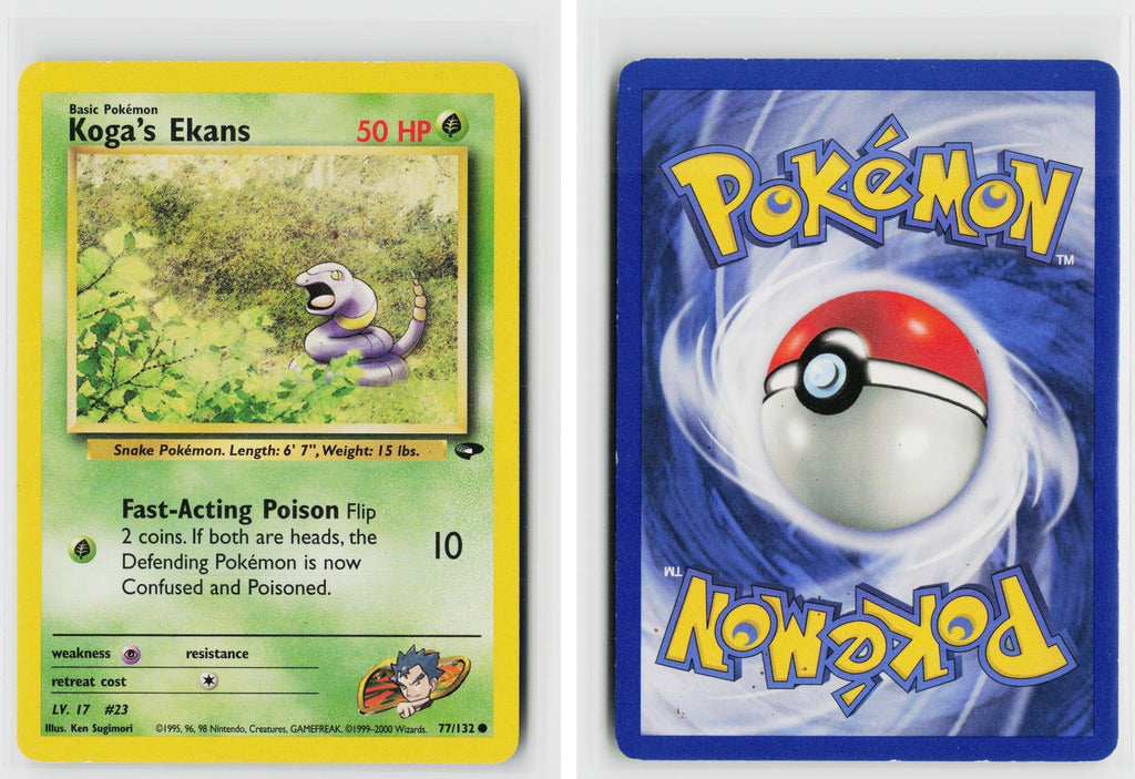 Front + Back scan