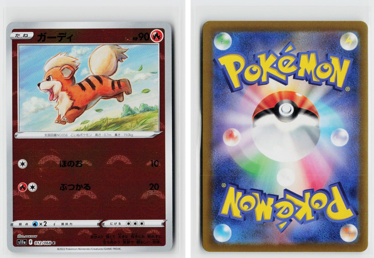Front + Back scan