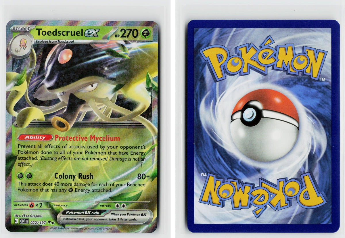 Front + Back scan