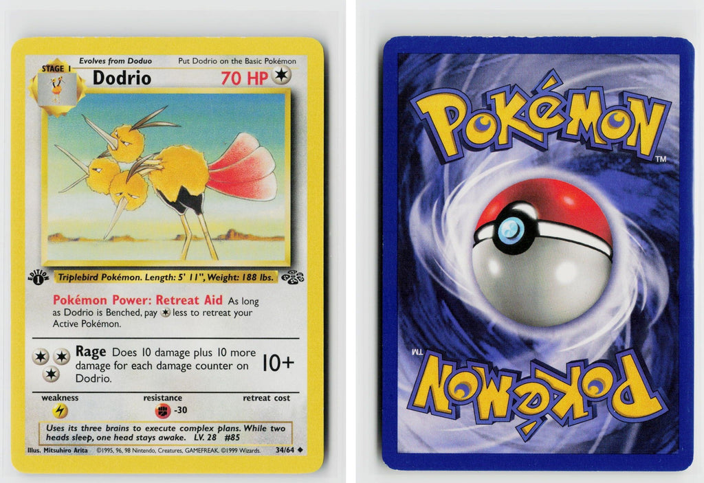 Front + Back scan