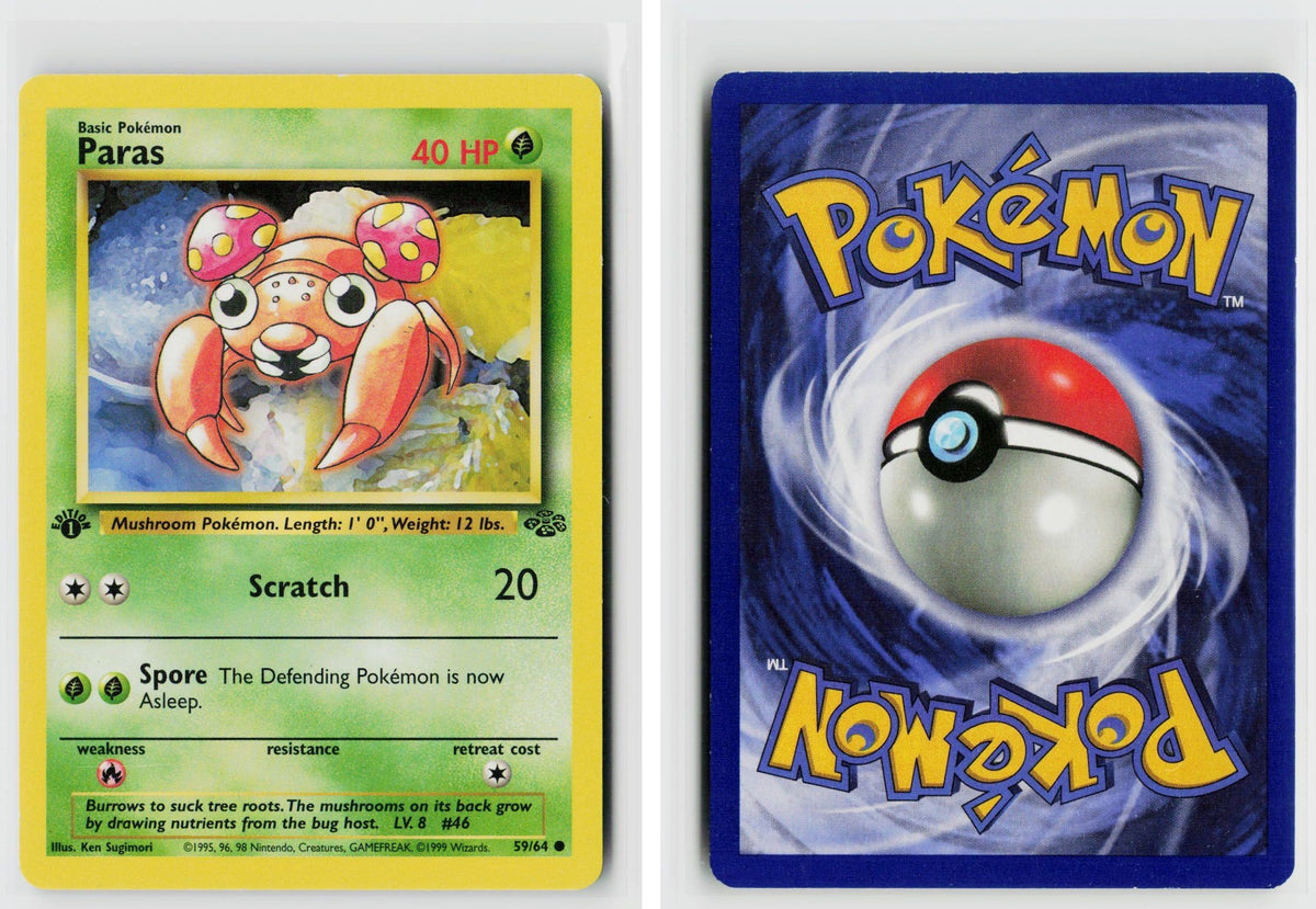 Front + Back scan