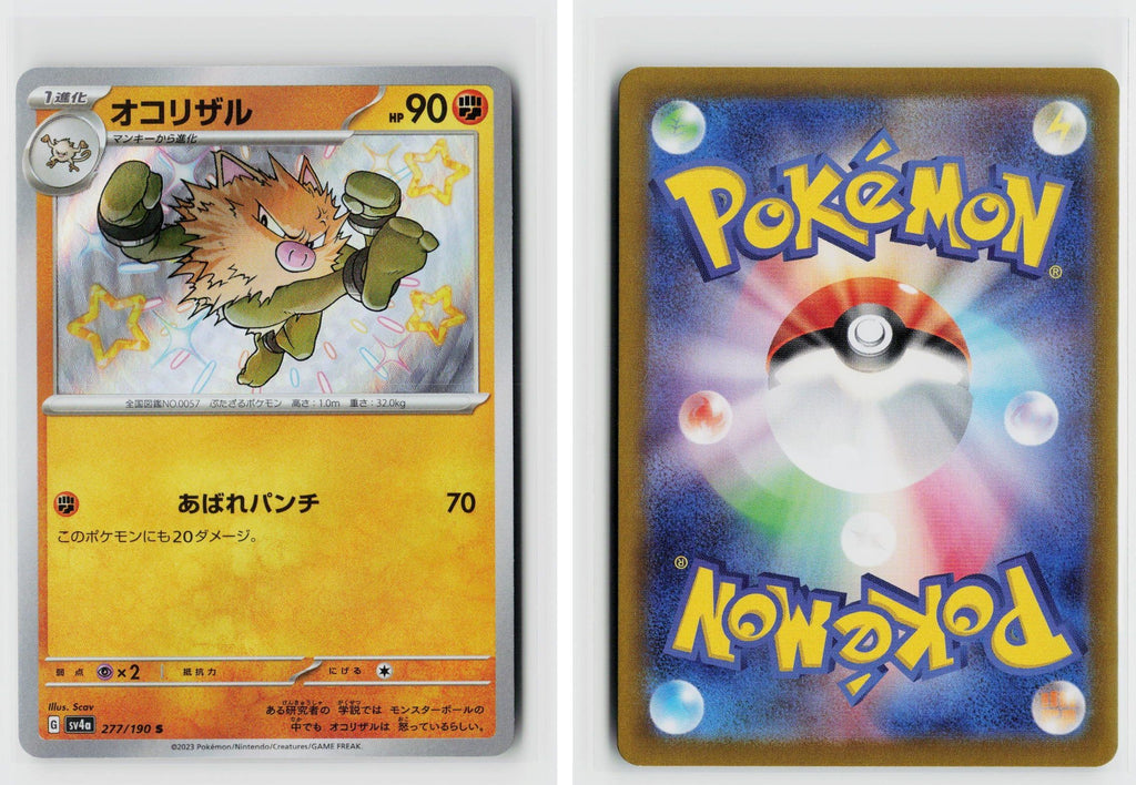 Front + Back scan