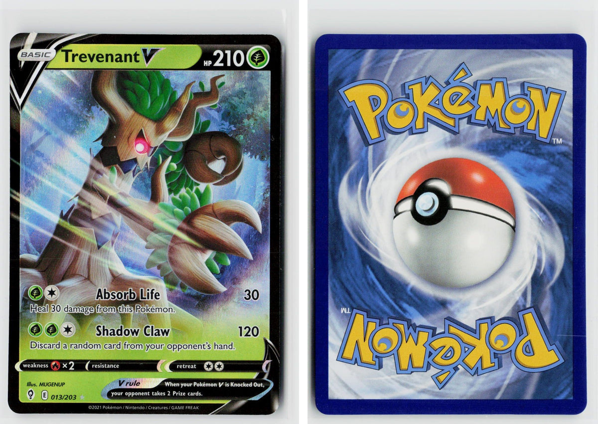 Front + Back scan