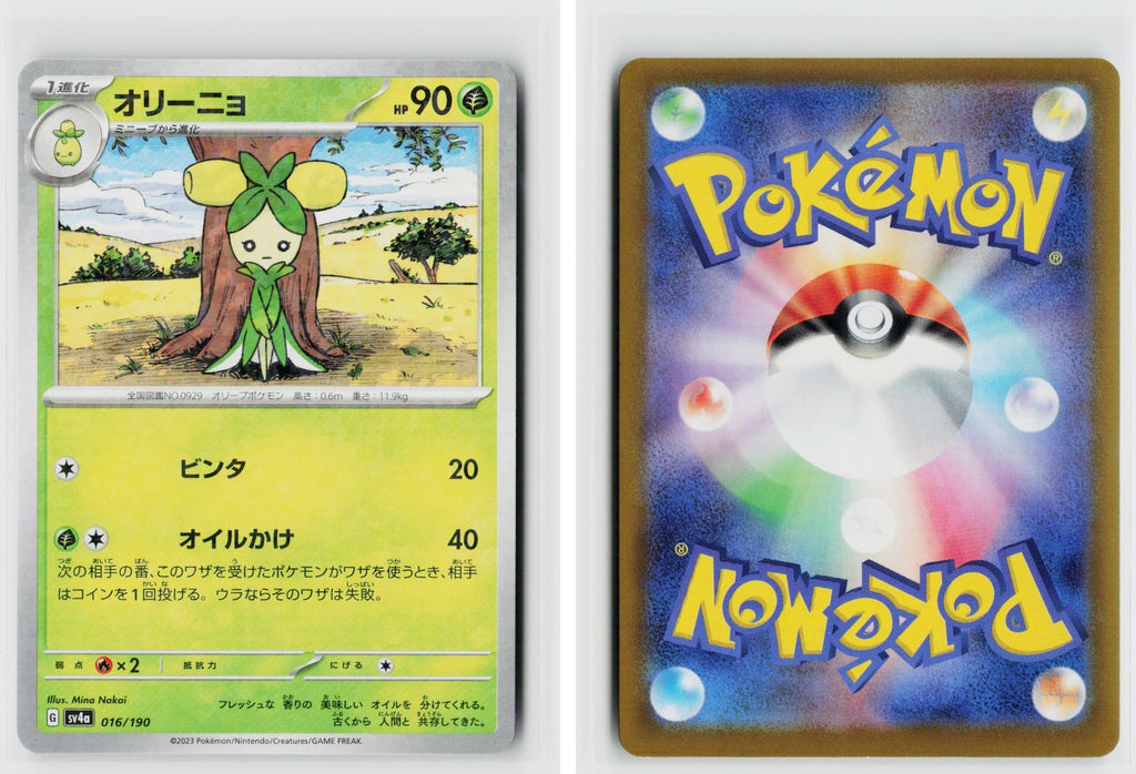 Front + Back scan