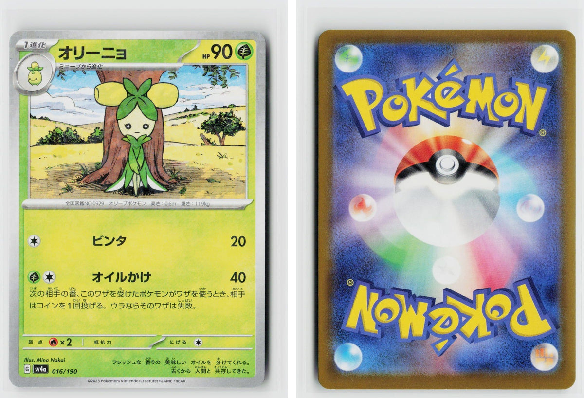 Front + Back scan