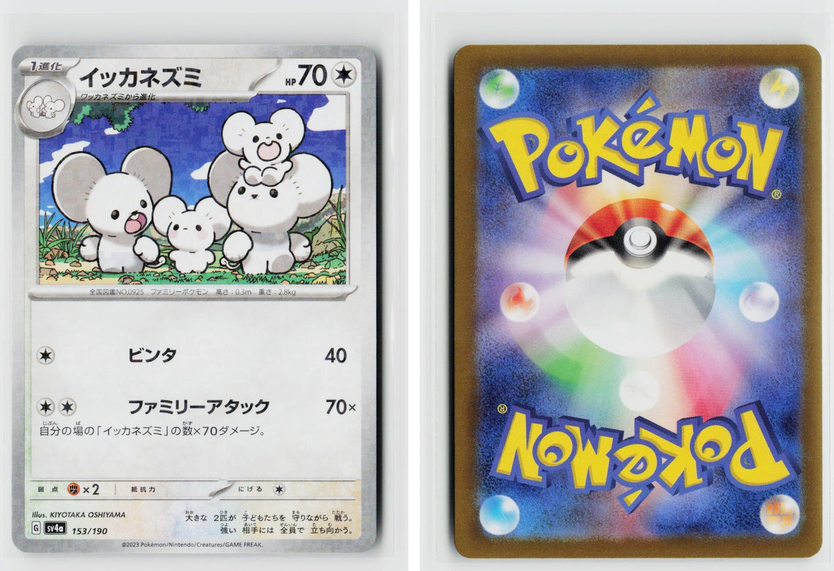 Front + Back scan