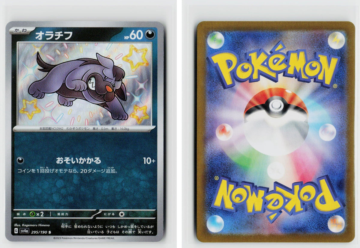 Front + Back scan