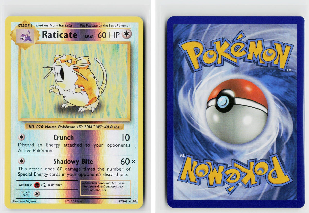 Front + Back scan