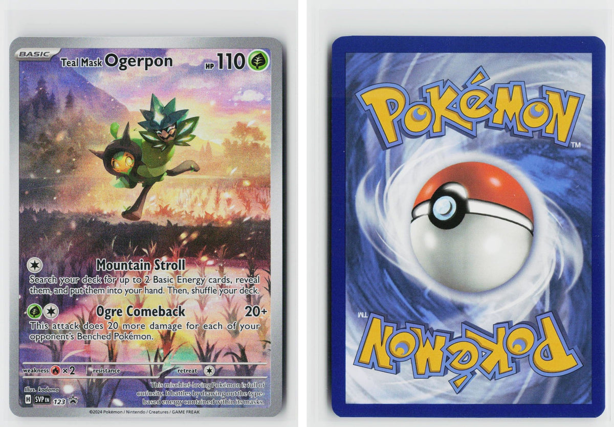 Front + Back scan