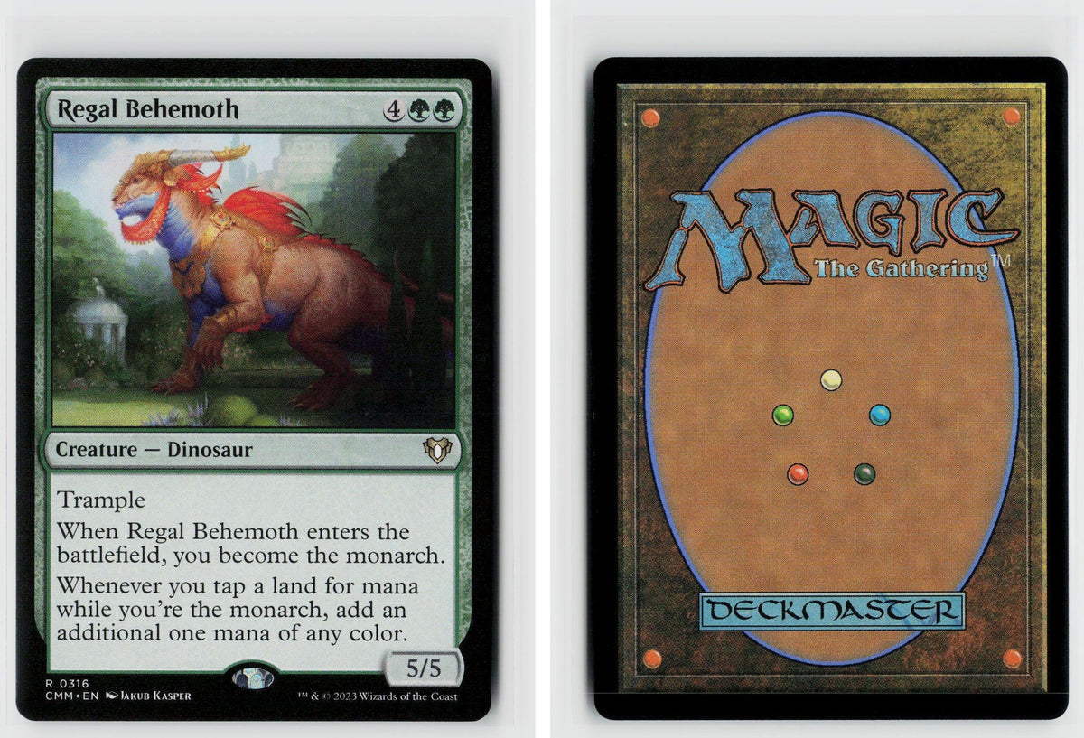 Front + Back scan