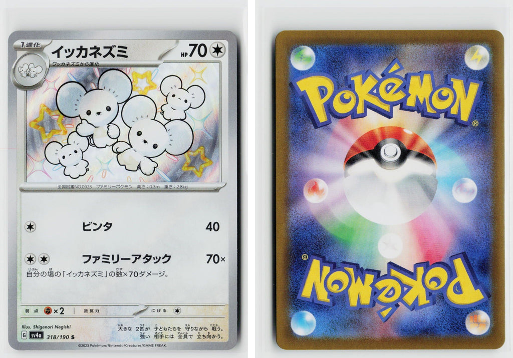 Front + Back scan
