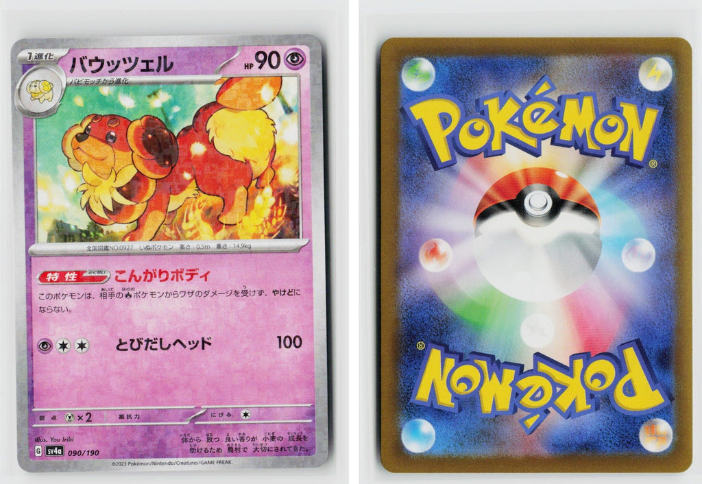 Front + Back scan