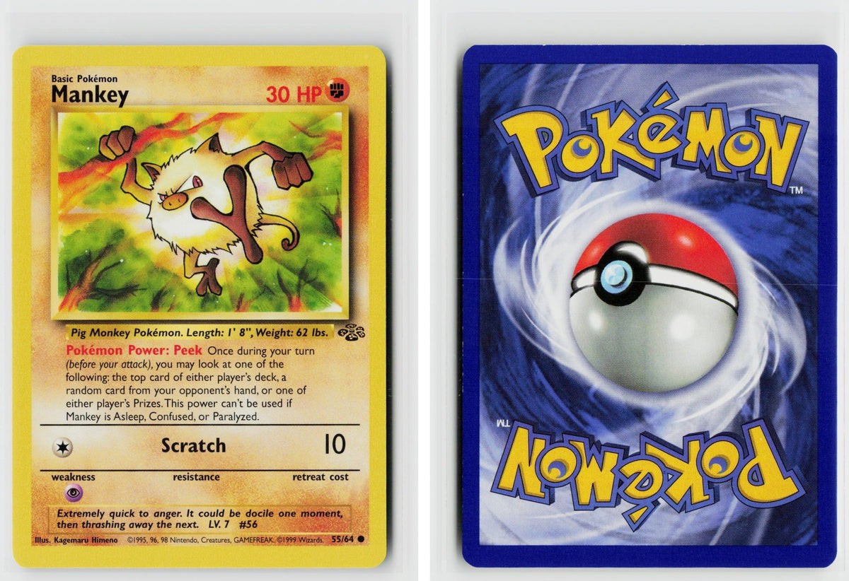 Front + Back scan