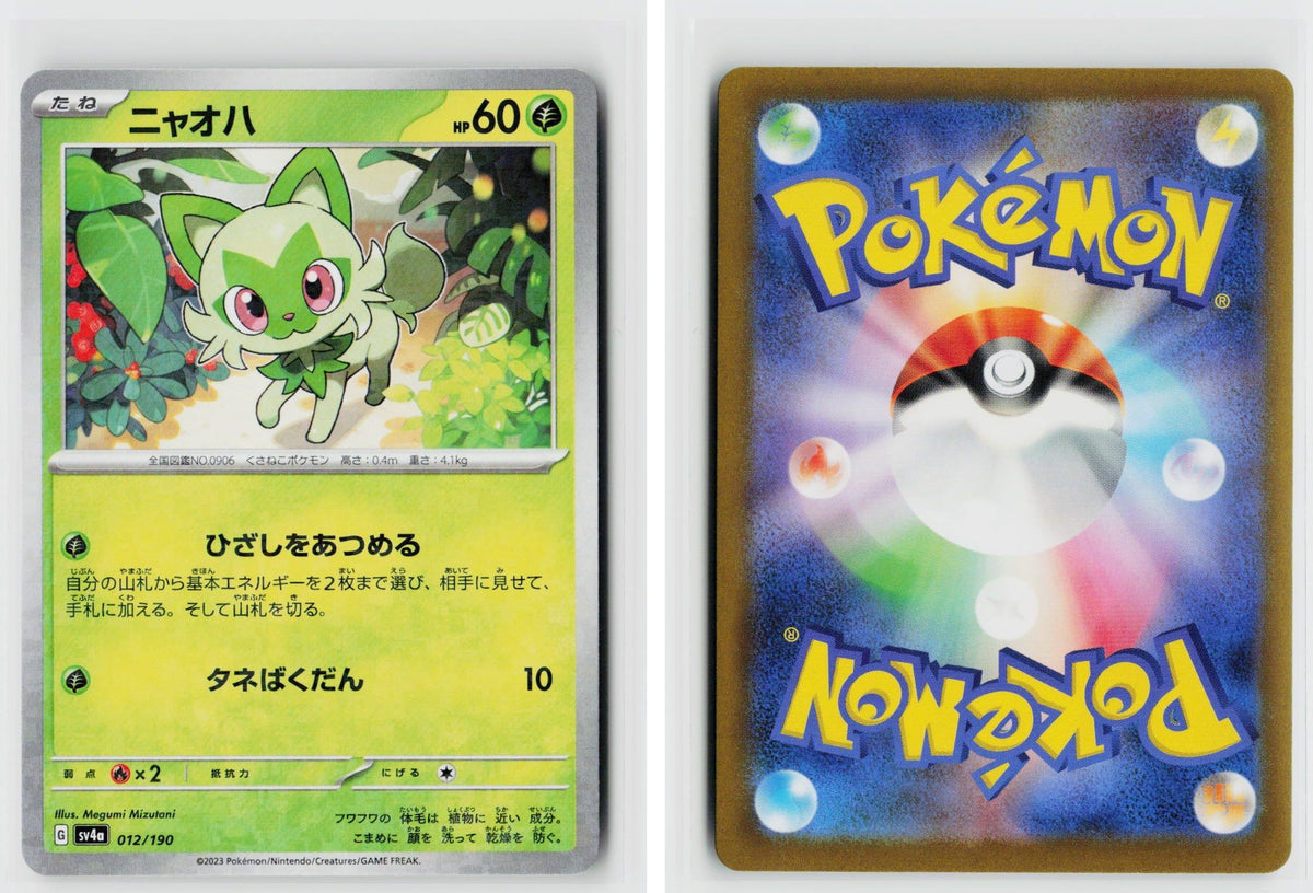 Front + Back scan