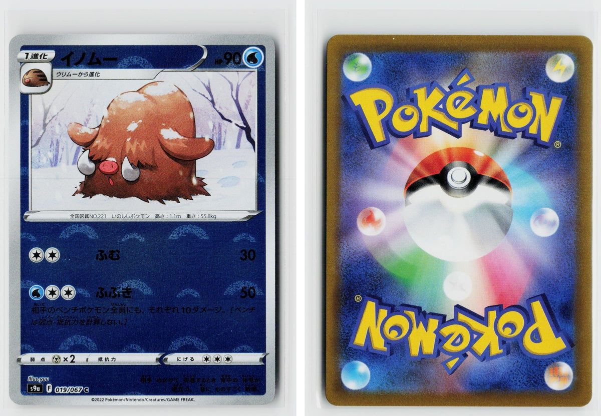 Front + Back scan
