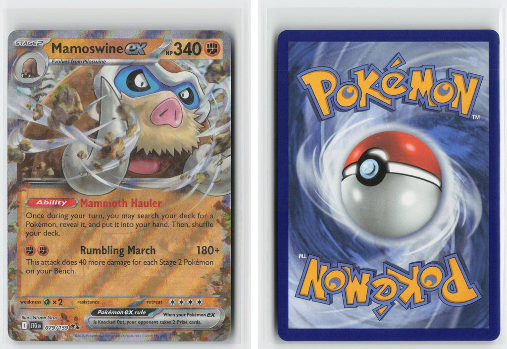 Front + Back scan