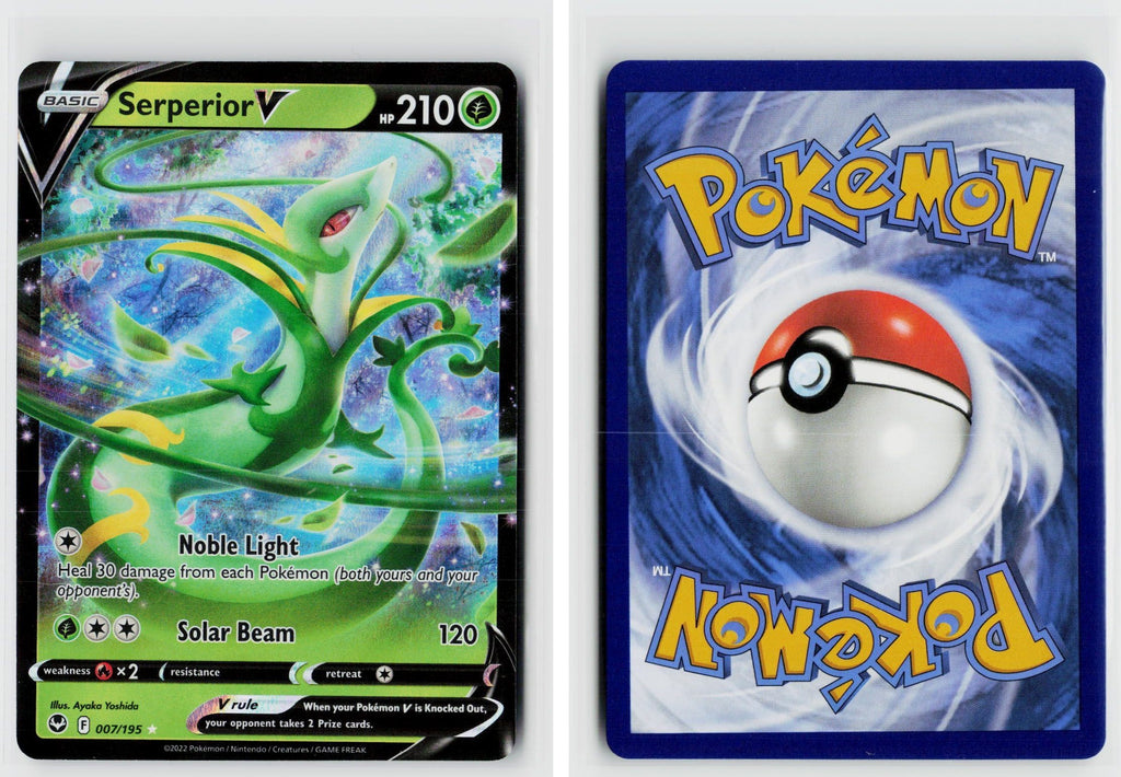 Front + Back scan