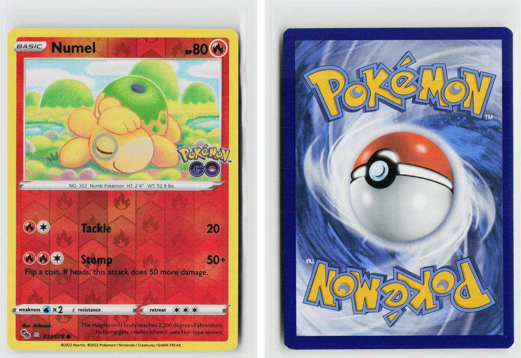 Front + Back scan