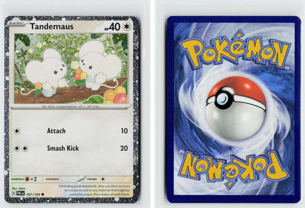 Front + Back scan