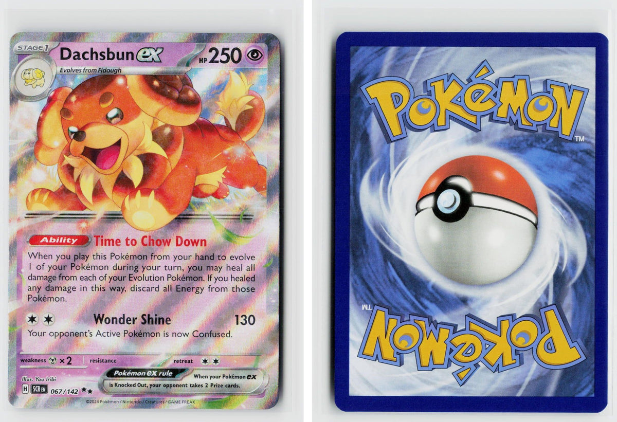 Front + Back scan
