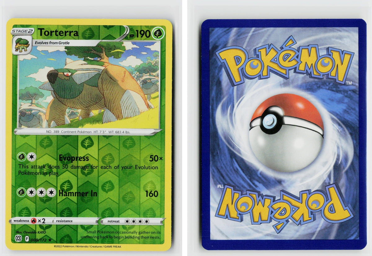 Front + Back scan