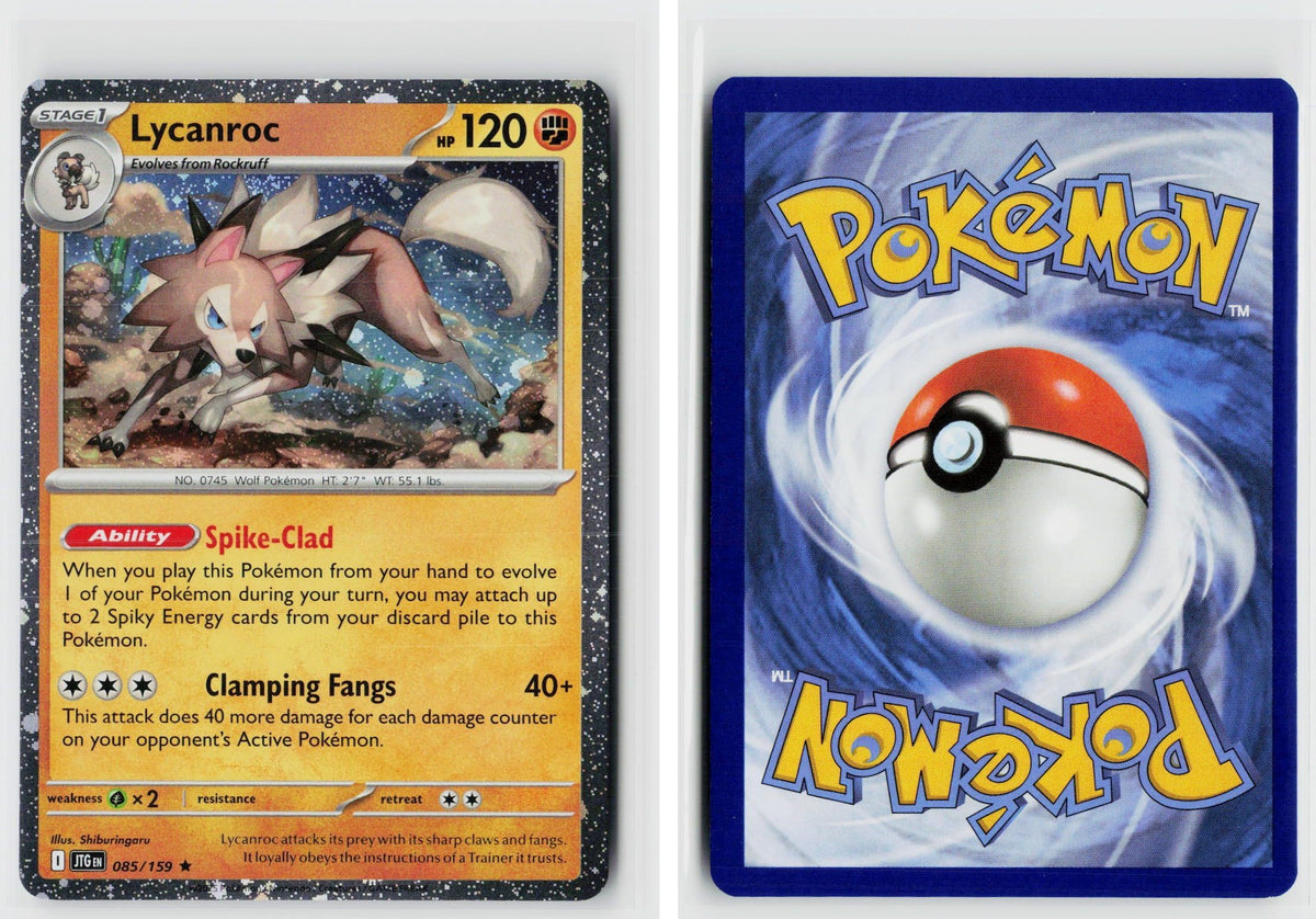 Front + Back scan